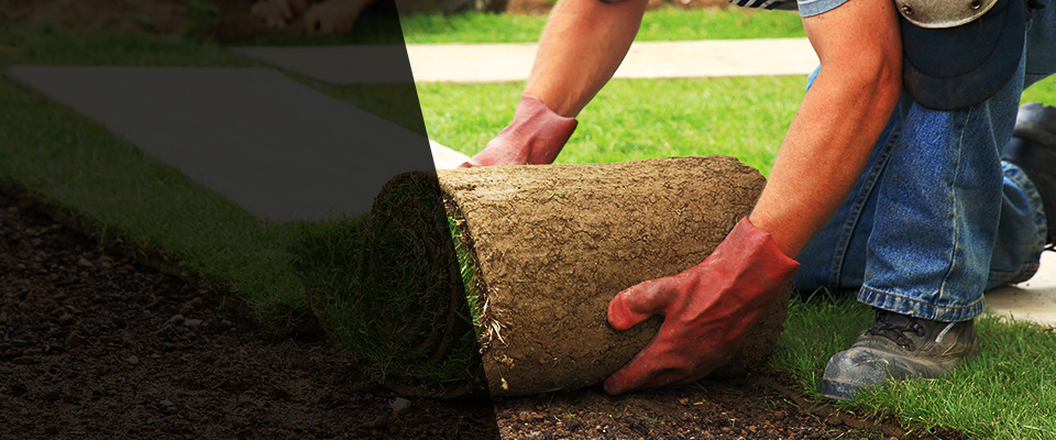 Grand Prairie Landscapers